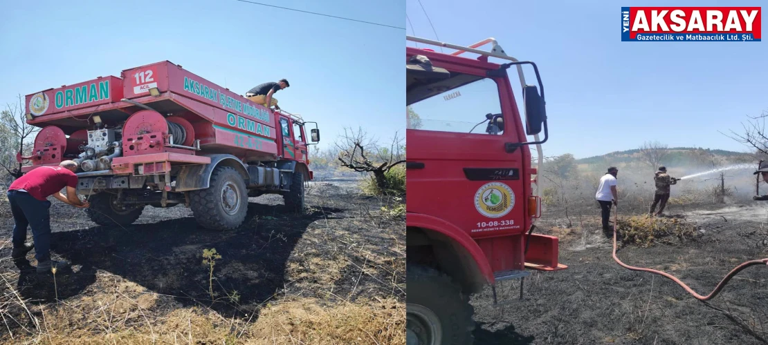 Balcı’daki yangın büyümeden söndürüldü