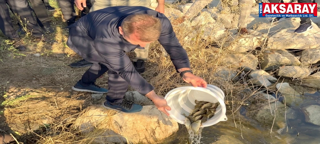 SU KAYNAKLARI CANLANIYOR  500 Bin balık suyla buluştu