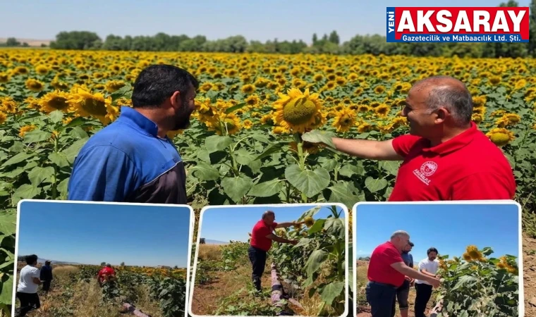 ‘Üretici Buluşmaları’ aralıksız devam ediyor
