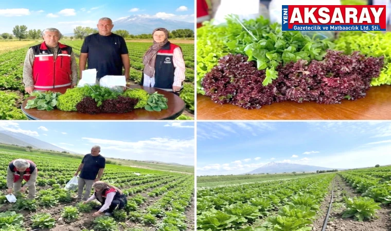 Aksaray’da güvenli gıda için tarla denetimi