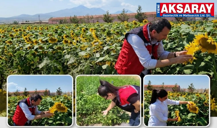 EKİPLER SAHADA Kayıt altına alınan parseller kontrol ediliyor
