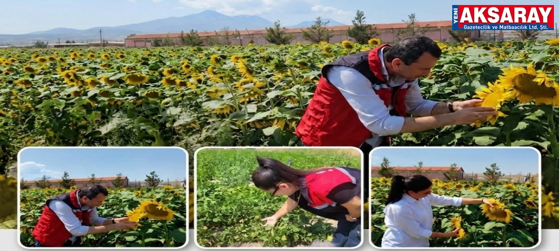 EKİPLER SAHADA Kayıt altına alınan parseller kontrol ediliyor