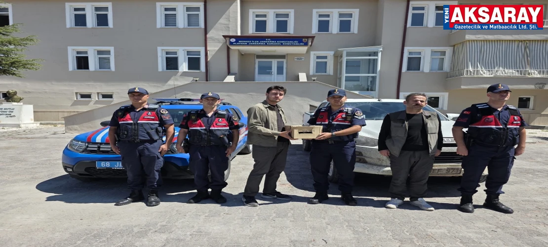 Kaçak yaban kuşu ticaretine engel olundu