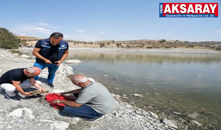 Mamasın baraj göletinde olta avcılığı denetimleri yapıldı