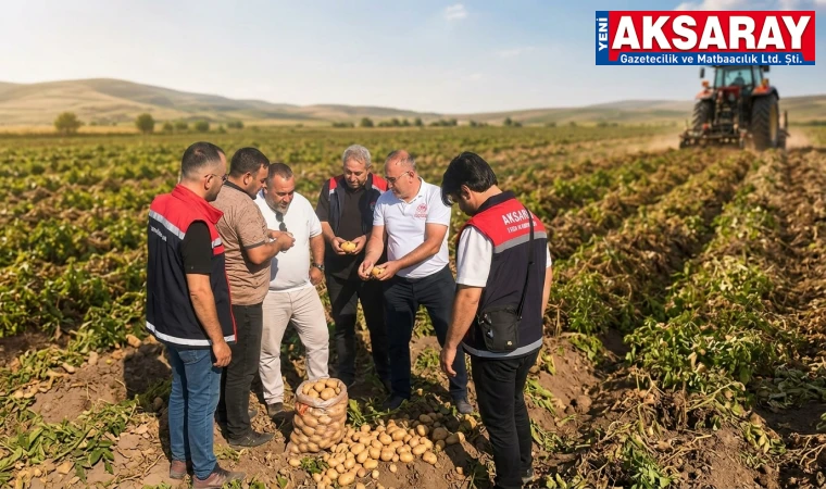 Ortaköy'de patates hasat kontrolü