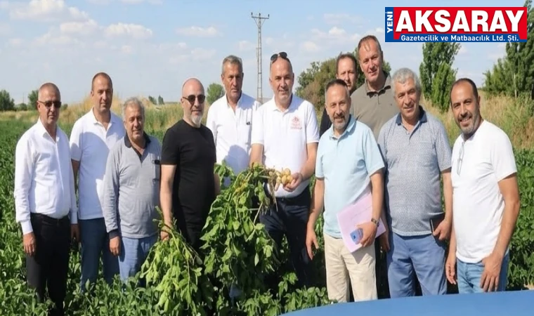 Patates üretim alanları incelendi
