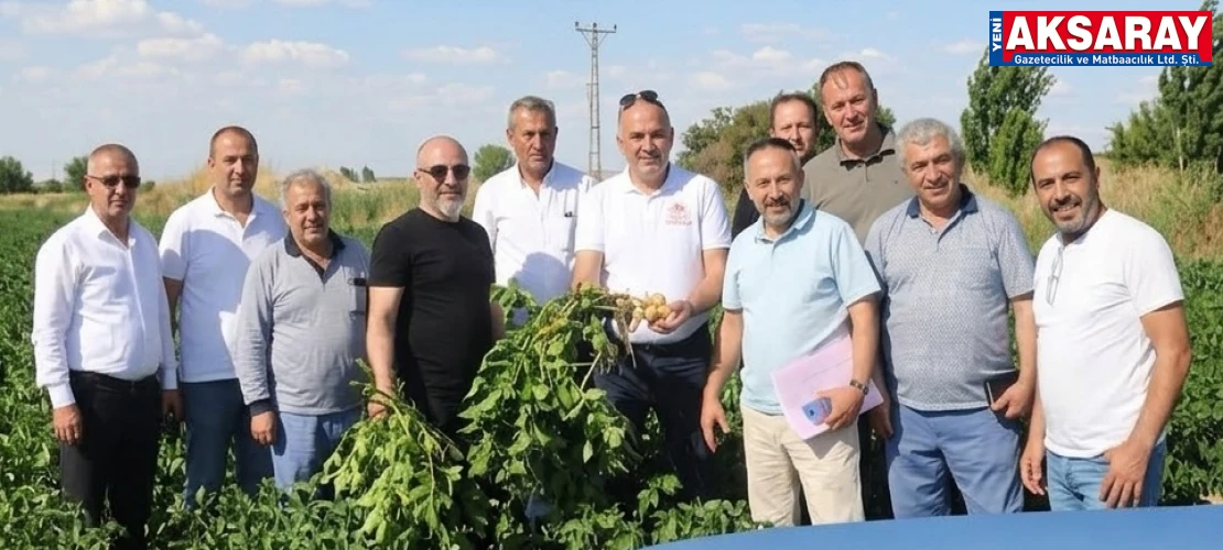 Patates üretim alanları incelendi