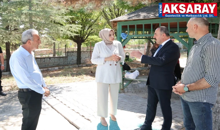 Spor tesislerine üst düzey inceleme