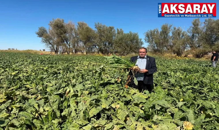 Pancar üreticileri adil bir taban fiyat istiyor