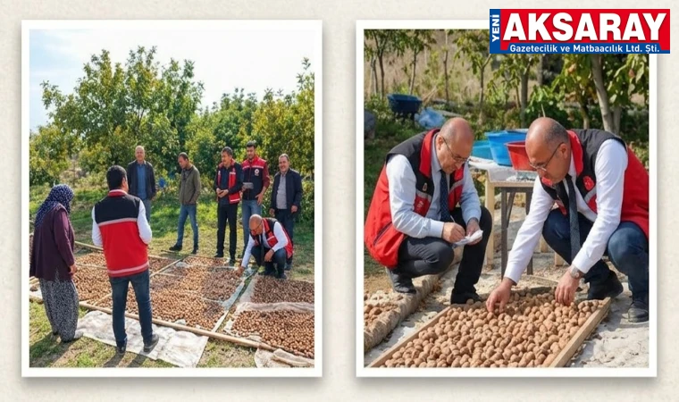 Ağaçören cevizi üzerine çalışma başlatıldı
