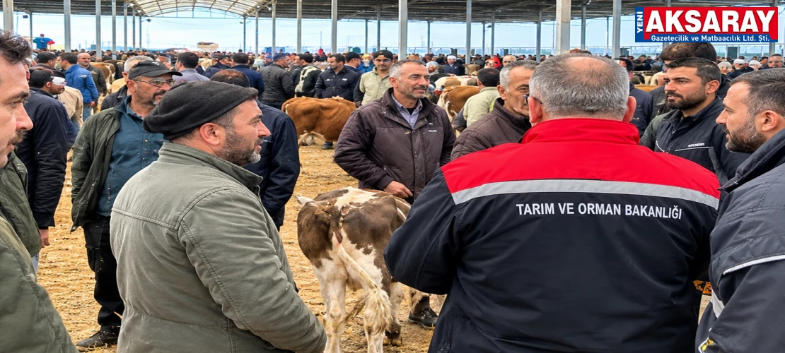 Aksaray’da hayvan pazarı kontrol altında