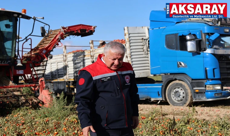 Eskil’de domates hasadına katıldı