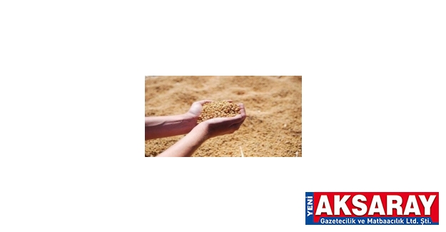 Yem ham maddesi satın alınacaktır