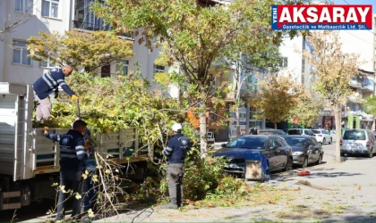 Trafiği engelleyen ağaçlar budandı