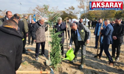 Ağaçlandırmada milli gün