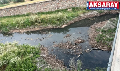 BÖLGE SAKİNLERİ RAHATSIZ ‘Kokudan duramıyoruz’