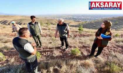 Vali ağaçlandırma çalışmalarını inceledi