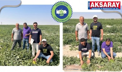 Organik tarımda saha takipleri aralıksız sürüyor