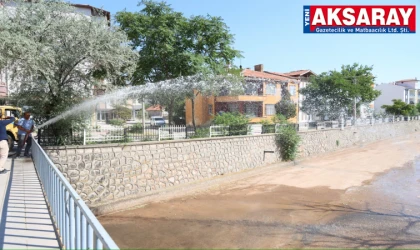 Uluırmak’a su verilmeyince kuşlar susuz kaldı