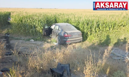 İki otomobil mısır tarlasına uçtu, 7 YARALI  