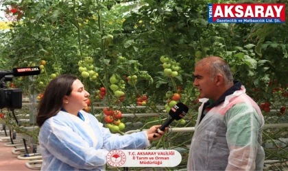 Modern seracılığı ileriye taşıyacağız