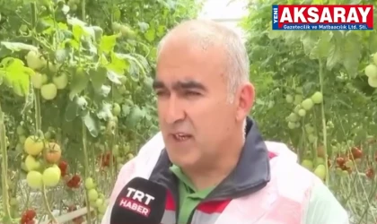 ÜÇ MERKEZDE ÜRETİM Tarımda Jeotermal Enerji dönemi başlıyor