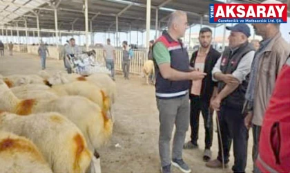Hayvan Pazarı açıldı, üretici sevindi