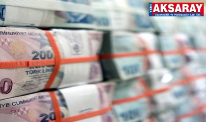 2024 YILI VERGİ REKORTMENLERİ AÇIKLANDI AÇIKLANMASINA AMA... Rekortmenler isimlerini gizledi