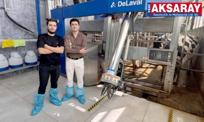 İnekler robotla sağılıyor