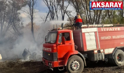 Pirli köyünde yangın paniği