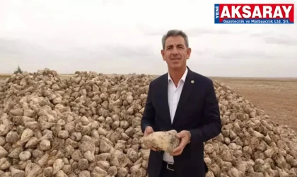 Şeker pancarı hasadı bereketli başladı