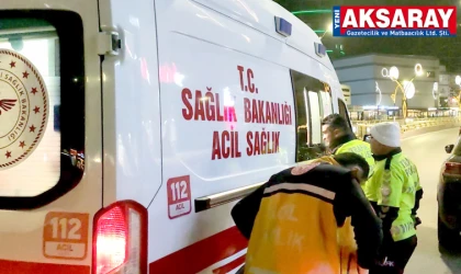 Trafik levhasına çarparak yaralandılar