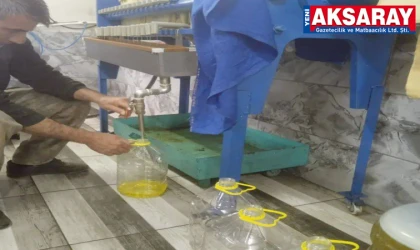 Yetiştirdiği ayçiçeğinden yağ çıkarıyor