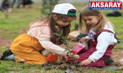 10 Kasım’da Atatürk anılacak, 11 Kasım’da fidan dikilecek