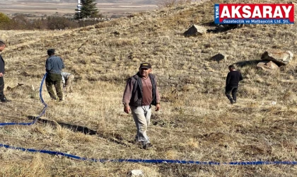 Babalarının anısına 620 fidan diktiler