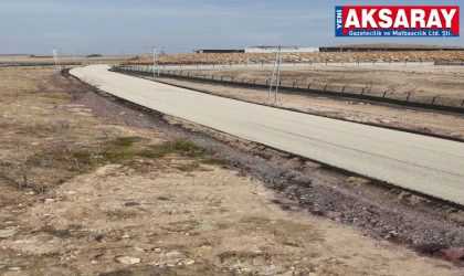 Hayvan Bakımevi yolu asfaltlandı