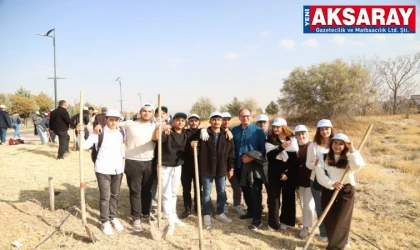 Kampüs ağaçlandırılıyor