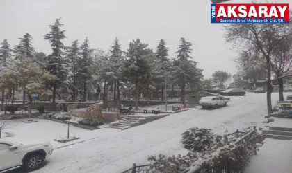 Mevsimin ilk karı yağdı