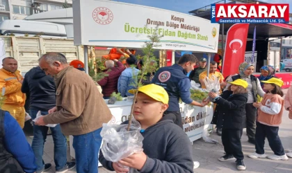 Meydan da ücretsiz fidan dağıtımı