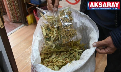 Poşet çaylar sağlık riski taşıyabilir