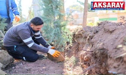 Ağaçlandırma ile park ve bahçelerin sayısı artırılıyor