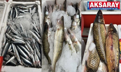 Aksaray’da balık bolluğu