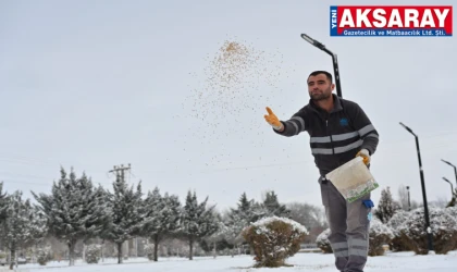 Doğada yemleme çalışmaları başladı