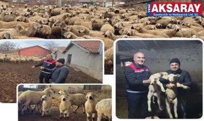 Hafta sonu üretici buluşmaları