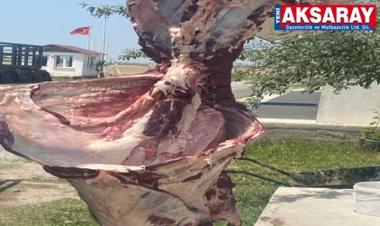 TÜKETİCİ HAKEM HEYETİNDEN HIZLI ADALET: Hastalıklı kurbanlık için 131 bin Tl iade kararı