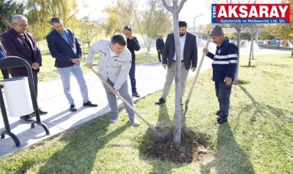 Yeşil alanlarda yenilenme günleri