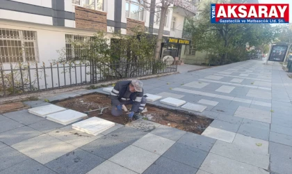 BELEDİYE YERİNDE ÇÖZÜM MERKEZİ Geçen yıl 1565 talep iletildi