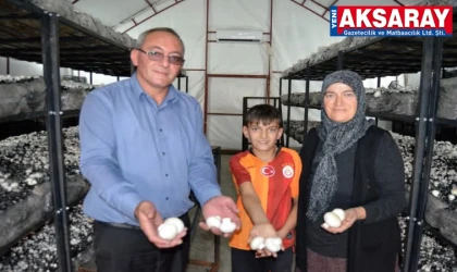 Devlet desteğiyle mantar üreticisi oldu