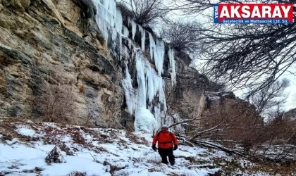 Ilısu Şelalesi dondu