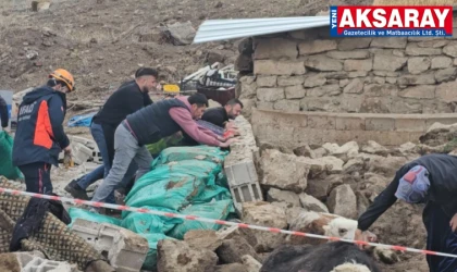Ahır hayvanların üzerine çöktü